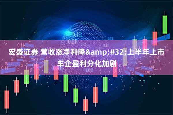 宏盛证券 营收涨净利降&#32;上半年上市车企盈利分化加剧